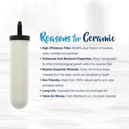Doulton W9121214/British Berkefeld W9121215 0.5 Micron ATC Super Sterasyl Ceramic Water Filter for Gravity Systems (2 Pack)