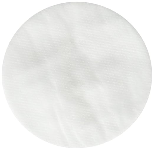 Moldex 8910 N95 Particulate Pre Filters Box 10 Each