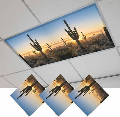 Fluorescent Light Covers for Drop Ceiling Desert Cactus Sunset Magnetic Light Filters, Tropical Plant Natural Scenery Ceiling Shade Filters for Home Classroom Office,2x4 ft,3Packs