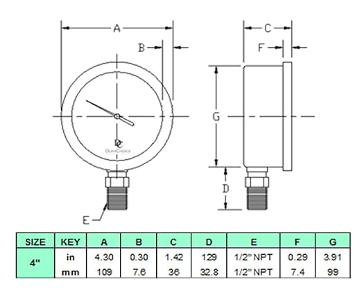 4" Oil Filled Pressure Gauge - Stainless Steel Case, Brass, 1/2" NPT, Lower Mount Connection, 0-600PSI