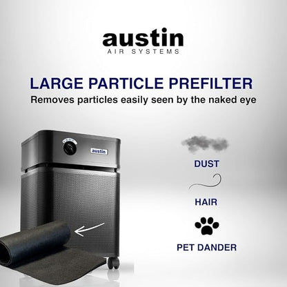 Austin Air Bedroom Machine 5 Stage Replacement Filter, Black – Zeolite with HEGA Cloth, Air Filters for Home, and Carbon Filter Replacement for Superior Air Quality, Model FR402