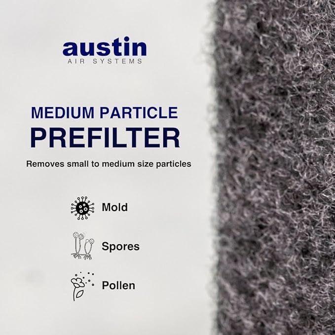 Austin Air Bedroom Machine 5 Stage Replacement Filter, Black – Zeolite with HEGA Cloth, Air Filters for Home, and Carbon Filter Replacement for Superior Air Quality, Model FR402