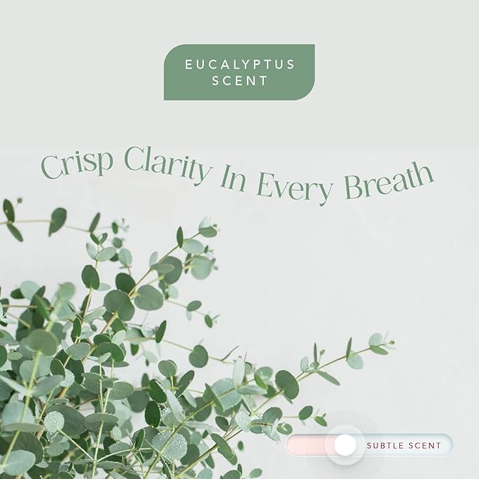 Vitamin C Shower Filter Replacement Cartridge + Shower Steamers Aromatherapy - K Beauty Skin & Hair Enhancement, Universal Water Filter Replacement for AquaBliss - Eucalyptus Scent