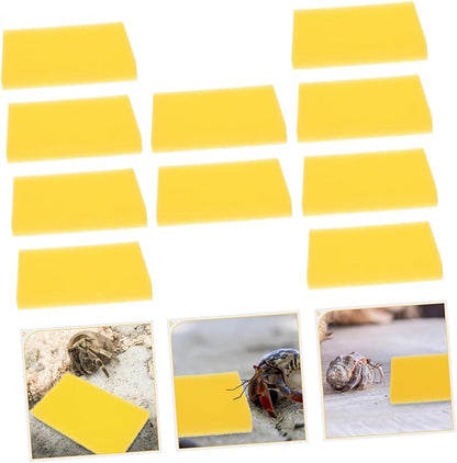 10pcs Crab Sponges for Reptiles Fine Hole Aquarium Sponges for Humidity Control Suitable for Freshwater Seawater Fish Tanks Absorbent Reusable Media Pads