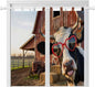 Farm Cows Bedroom Curtains 72 Inch Length, Window Curtains Tab Top, Farmhouse Barn Funny Animals Butterfly Light Filtering Window Treatments Drapes 52"x72" 2 Panel