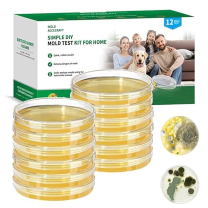 Mold Test Kit for Home -12 Simple Mold Test kit,Test HVAC System,Surfaces & Indoor Air Quality,DIY Mold Detector at Home,Includes Detailed Mold Identification Guide,air Tester
