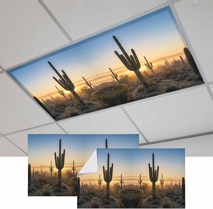 Fluorescent Light Covers for Drop Ceiling Desert Cactus Sunset Magnetic Light Filters, Tropical Plant Natural Scenery Ceiling Shade Filters for Home Classroom Office,2x4 ft,2Packs
