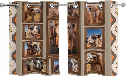 2 Panel Kitchen Cafe Curtains, Desert Camels Sunlight Filtering Nature Air Through, Home Decor Window Covering Tier Curtains for Living Room 55W x 39L inch Western Wildlife Brown Animals Country