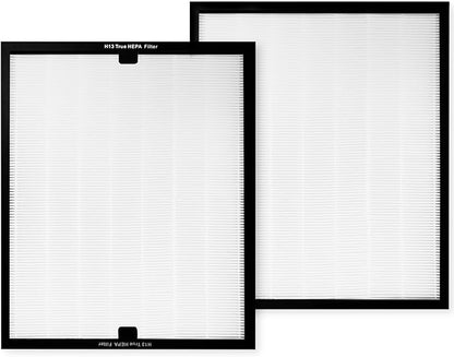 HEAP 550 Replacement Filter, HEPA Air Filter 16x19x2 inch, Compatible with WEWEAL Commercial Air Scrubber & Purifiers, Ideal for Water Damage Restoration (2 Pack)
