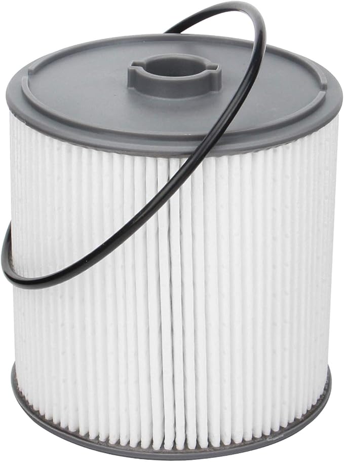 AULDAY Fuel Filter Fits for Ram 2500 3500 4500 5500 6.7L 2019 2020 2021 2022 Diesel Engine For Ram 1500 2020 3.0L V6 Eco Diesel Frame Chassis Mounted OE# 68436631AA PF46152