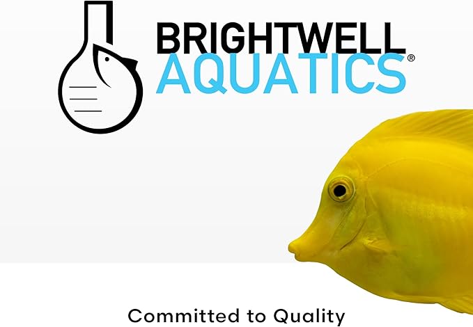 Brightwell Aquatics - Xport-BIO Block Aquarium Filter - Biological Filtration Media for Bacteria Growth, Nutrient Control and Control of Other Unwanted Nutrients - Aquarium Treatments, 12Pack, 1.5inch