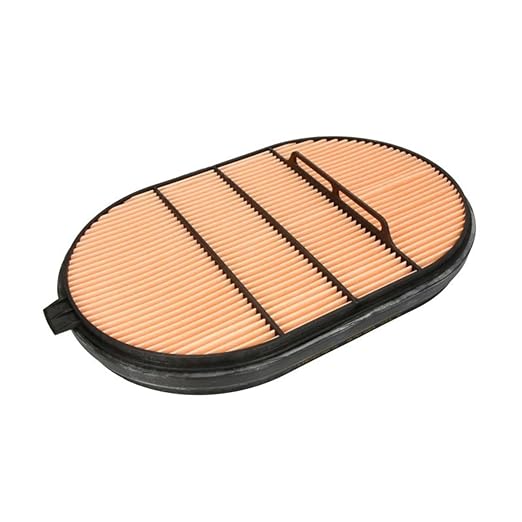 Donaldson P607557 Safety Oval Air Filter