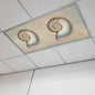Fluorescent Light Covers for Ceiling Lights Shell Conch Magnetic Light Filters 1 Pack 4x2 ft Vintage Ocean Marine Life Ceiling Lights Cover for Classroom Office School Home Drop Lamp Decor