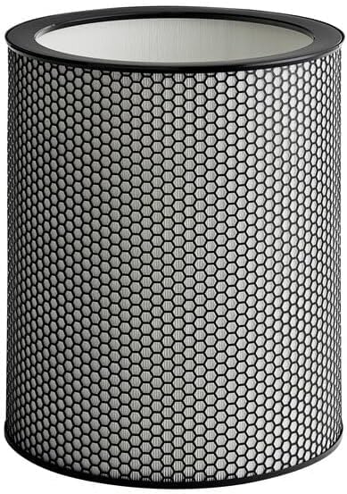972132-01 H13 Grade Glass Big HEPA Filter Compatible for Dyson Purifier BP03 and BP04 (Big), Airborne Wildfire, Smoke, Pollen, Pet Dander, and Dust