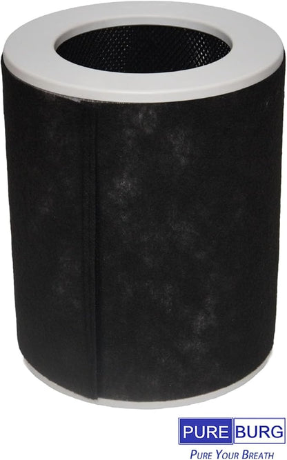 PUREBURG Replacement Filter Compatible with Dhyala KJ02 Air Purifier,2-Pack HEPA Activated Carbon 2-in-1 & 4 Pre-Filters For Air Clean Dust VOCs Odor 3-Stage Filtration