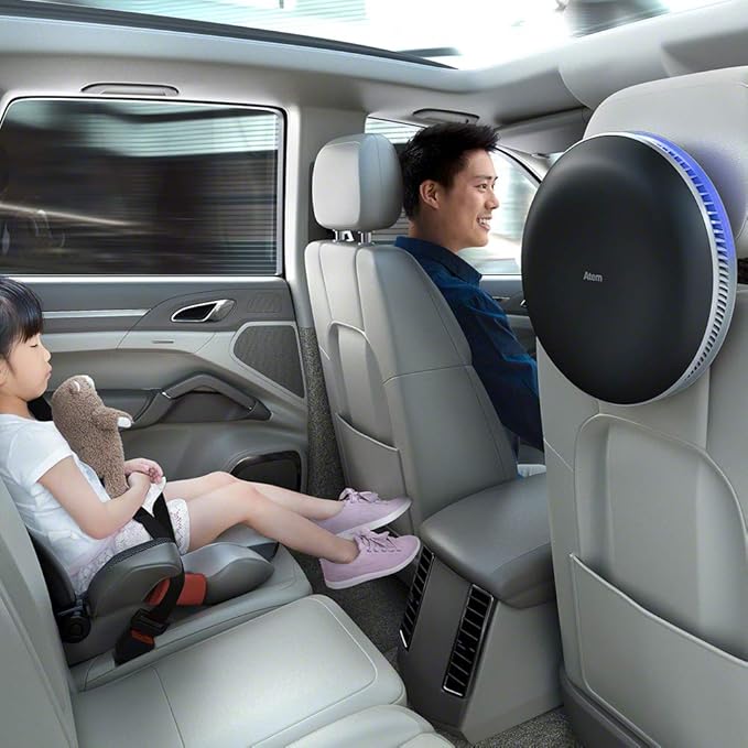 IQAir Atem Car Portable HEPA Air Purifier, Filters for Pollution, Odors, Gases, Car Fumes, and Asthma Triggers, Bacteria, Viruses, Great for Travel or Daily Commute, Swiss Design, Made in Germany