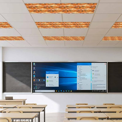 Tropical Plant Cactus Fluorescent Light Covers 2 Pack Western Cowboy Horse Sunset Deserts Orange Magnetic Fluorescent Ceiling Lights Filters for Office Classroom Home Drop Ceiling 4x2 Feet