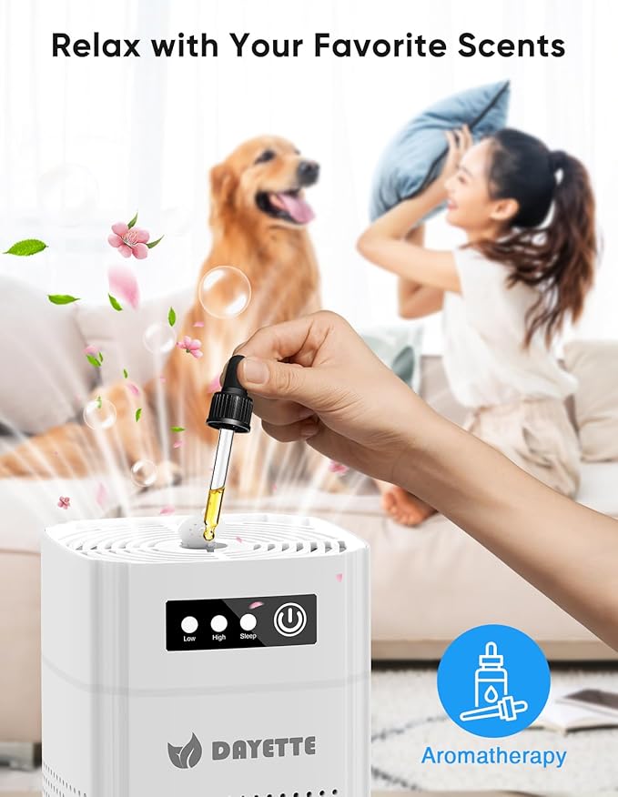 Air Purifiers for Bedroom, DAYETTE H13 True HEPA Air Filter Purifier for Small Room Up to 480 Ft²/30min, Qiuet Sleep Mode with Aroma Pad, Small Portable Air Purifier with USB Cable