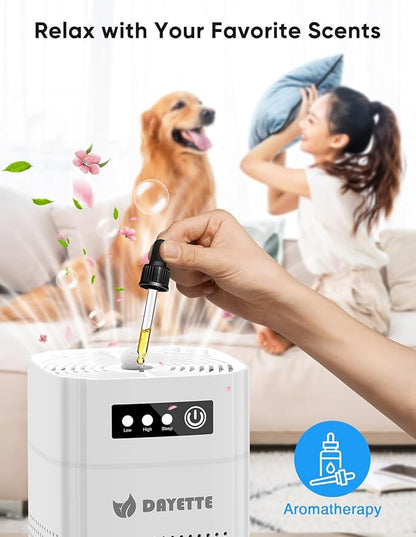 Air Purifiers for Bedroom, DAYETTE H13 True HEPA Air Filter Purifier for Small Room Up to 480 Ft²/30min, Qiuet Sleep Mode with Aroma Pad, Small Portable Air Purifier with USB Cable
