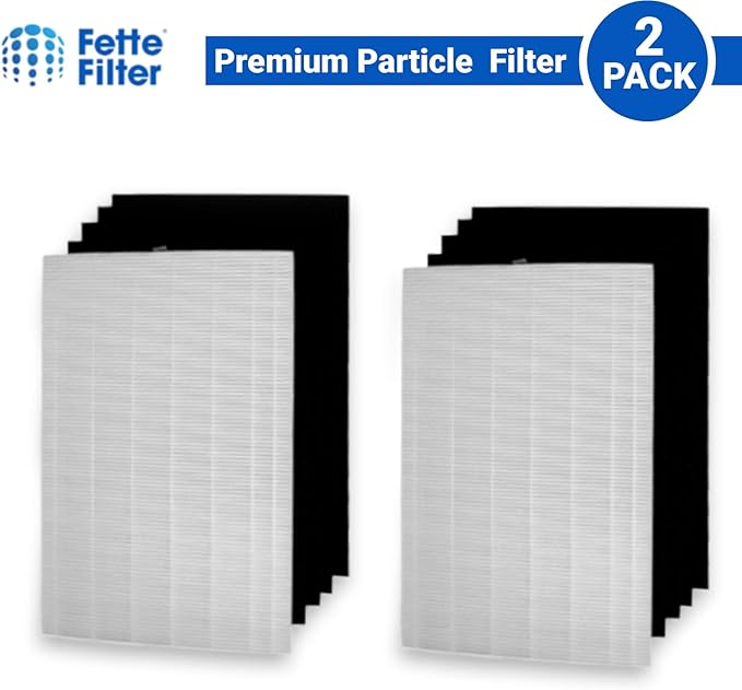 Fette Filter -Premium True Hepa H13 Filter Replacement Compatible with Fellowes AeraMax 190/200/DX55 Air Cleaner Purifiers Part # 9287101 9324101 (2-Hepa + 8 Carbon Filters)