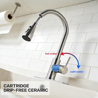 Kitchen Sink Faucet with Pull - Down Sprayer, 2 - Handle 3 - in - 1 Kitchen Sink Filter Faucet, Cold and Hot Mixer Drinking Water Faucet (Classic, Brushed Nickel-3)