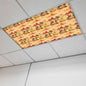 Tropical Plant Cactus Fluorescent Light Covers 1 Pack Western Cowboy Horse Sunset Desert Ethnic Magnetic Fluorescent Ceiling Lights Filters for Office Classroom Home Drop Ceiling 4x2 Feet