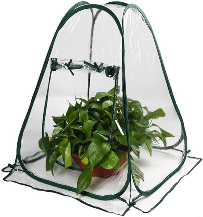 Weatherproof Portable Greenhouse Optimal Plant Growth - Ideal Indoor and Outdoor Use