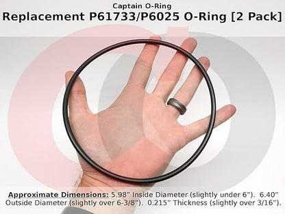 Captain O-Ring Replacement P61733 / P6025 O-Rings for Select Bestway Flowclear Filter Pumps (2 Pack, P61733ASS18 / P6025ASS16)