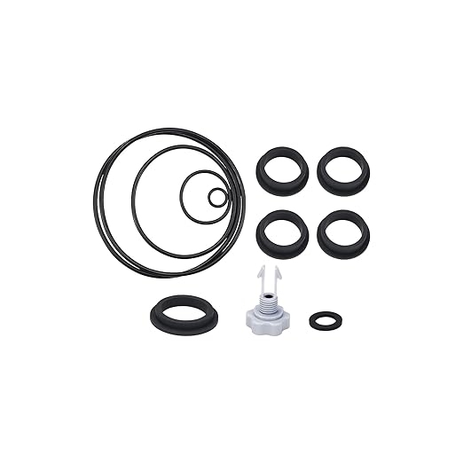 25013 Sand Filter Pump Seal Gaske Kit for Intex Sand Filter Pumps Replacement Air Release Valve with O-Ring 11228 11421 10460