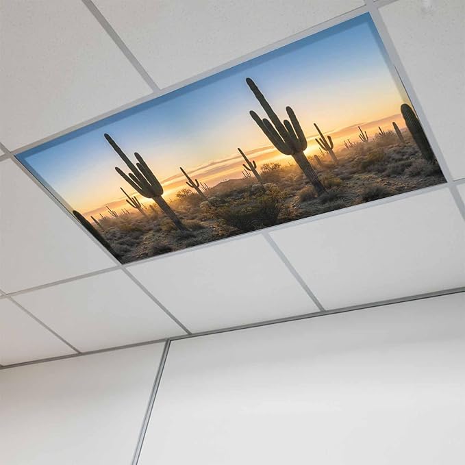 Fluorescent Light Covers for Drop Ceiling Desert Cactus Sunset Magnetic Light Filters, Tropical Plant Natural Scenery Ceiling Shade Filters for Home Classroom Office,2x4 ft,1Pack