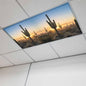 Fluorescent Light Covers for Drop Ceiling Desert Cactus Sunset Magnetic Light Filters, Tropical Plant Natural Scenery Ceiling Shade Filters for Home Classroom Office,2x4 ft,1Pack