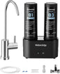 Waterdrop DLB Under Sink Water Filter, Reduces Chlorine, Chloramine, PFAS, Bad Taste, Under Sink Water Filtration System with Separate Faucet,Water Filter for Sink Faucet,Life Indicator, Quick Change