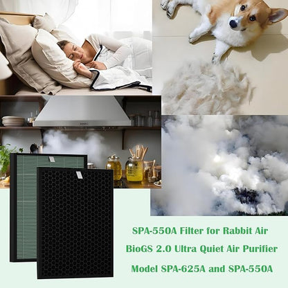 BioGS 2.0 Replacement Filter Kit Compatible with Rabbit Air SPA-550A & SPA-625A – 2 Set HEPA & Activated Carbon Filters | Captures Dust Odors for Home Large Room Pet Owner – 12–18 Month Supply