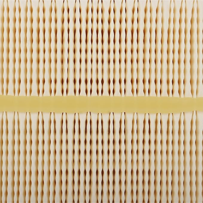 AF55005 AF55308 Air Filter fit for CUMMINS ISB6.7 QSB6.7 Engines 2012 2014 2015 FORD F650 F750 HD Replaces Donaldson DBA5291, Motorcraft FA1917, Ford CC4Z9601A