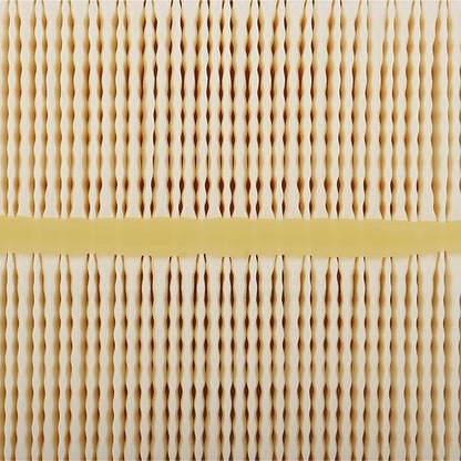 AF55005 AF55308 Air Filter fit for CUMMINS ISB6.7 QSB6.7 Engines 2012 2014 2015 FORD F650 F750 HD Replaces Donaldson DBA5291, Motorcraft FA1917, Ford CC4Z9601A