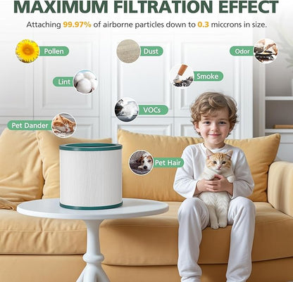 TP01 HEPA Replacement Filter Compatible with Dyson Tower Purifier Pure Cool Link TP01, TP02, TP03, AM11, BP01 Models, Compare to Part 968126-03, 2 Pack