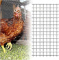 AOTNZ Welded Wire Fencing, Stainless Steel Anti-Rust Decorate Square Screening Filter Sheet for Garden Fence Aviary Hutch Net Fence Chicken Coop Pond Enclosure (Color : Silver, Size : 1.5x5m)