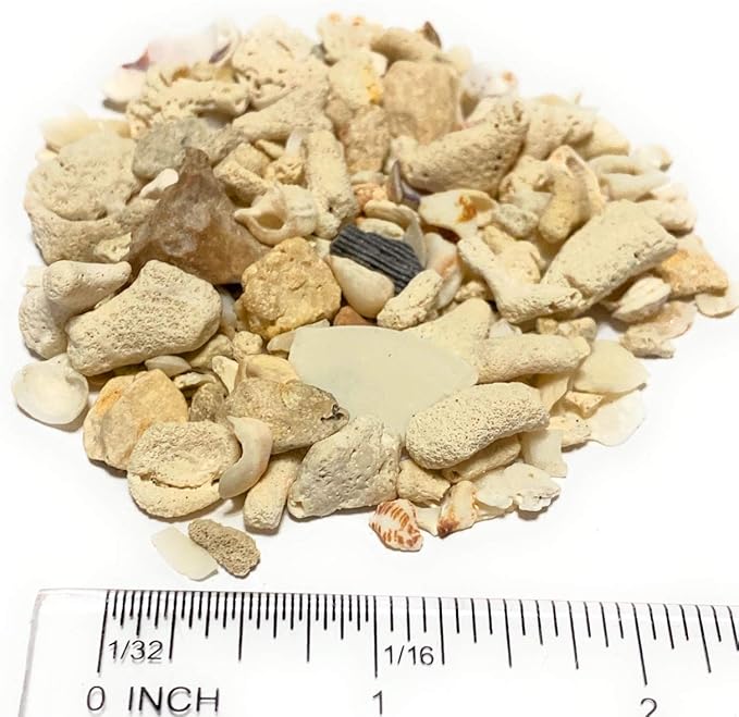 Middle Keys Marine Life LLC Florida Keys Crushed Coral Aquarium Gravel 2.5 LB (~70 in3) for Aquariums, Terrariums, Vases, Landscaping, Bonsai, School Projects, Shell ID, Bio-Filtration