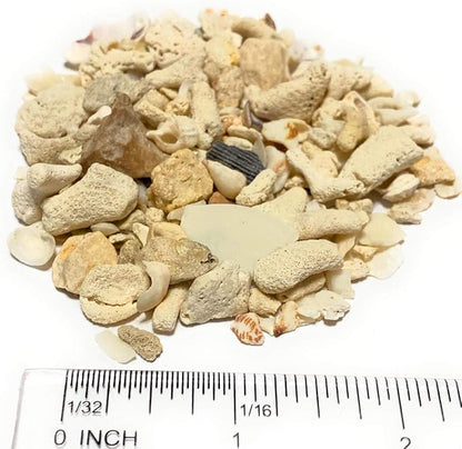 Middle Keys Marine Life LLC Florida Keys Crushed Coral Aquarium Gravel 2.5 LB (~70 in3) for Aquariums, Terrariums, Vases, Landscaping, Bonsai, School Projects, Shell ID, Bio-Filtration
