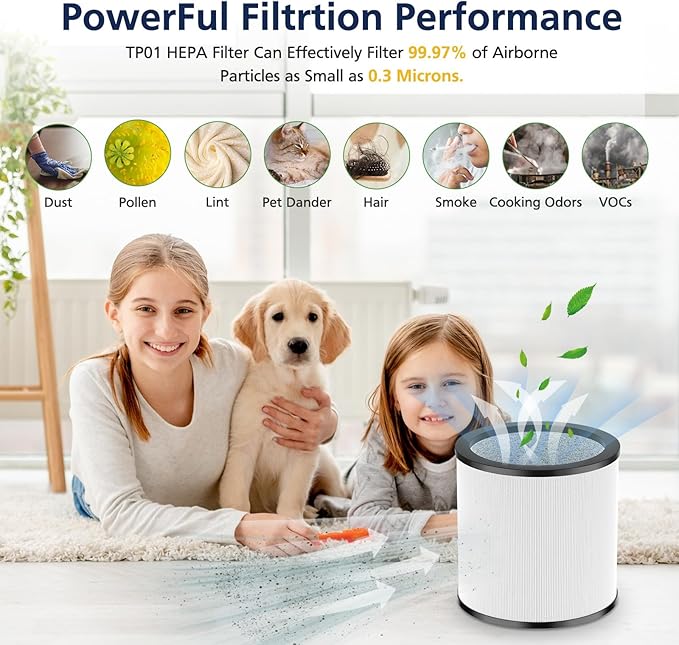 Upgraded TP01 Filter HEPA Replacement Filter Compatible with Dyson Tower Purifier Pure Cool Link TP01, TP02, TP03, AM11, BP01 Models, Compare to Part # 968126-03, 2 Pack
