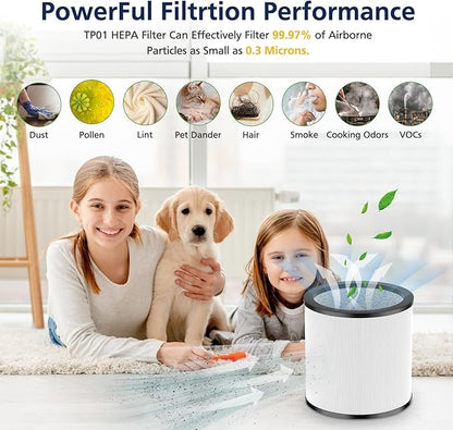 Upgraded TP01 Filter HEPA Replacement Filter Compatible with Dyson Tower Purifier Pure Cool Link TP01, TP02, TP03, AM11, BP01 Models, Compare to Part # 968126-03, 2 Pack