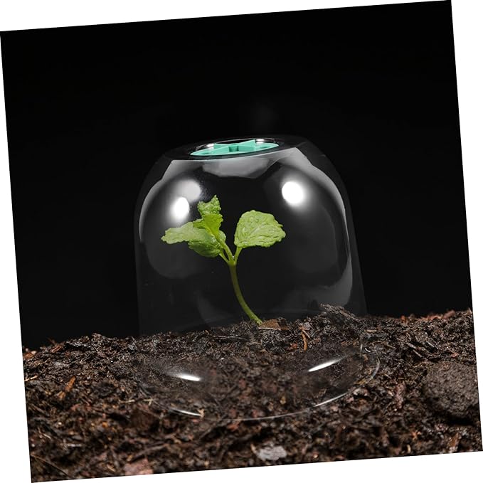 2pcs Small Garden Cloche Clear Plastic Humidity Domes for Mini Greenhouse Protectors with Optimal Airflow and Heat Insulation for Winter Outdoor Use