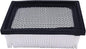 Dust Panel Filter 1037821 370113 370114 Compatible with Tennant/Nobles Speed Scrub Rider, SSR, Strive Rider, 515, 5680, 5700, 5700EE, 5700XP, 8010, R14, T7, T7AMR, T12-2.3 x 4.5 x 6.4 in
