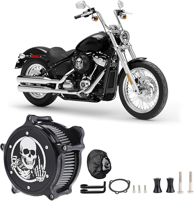 Motorcycle Air Filter Skull Style Air Cleaner with Filter Sock Dustproof Protective Cover Kit for Harley Touring 2000-07 Softail 2000-15 Dyna 2000-17, Excludes 2017 FXDLS (Black)