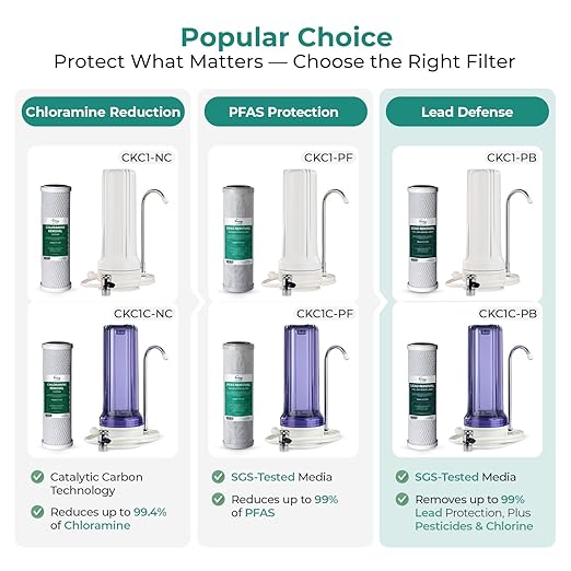 iSpring CKC1-PB 2.5" x 10" Countertop Water Filter, SGS-Tested, Reduces Lead, Chlorine, Odors. THMs, 7000 Gallons, Up to 12 Months, Easy Installation, White (1 Filter Included)