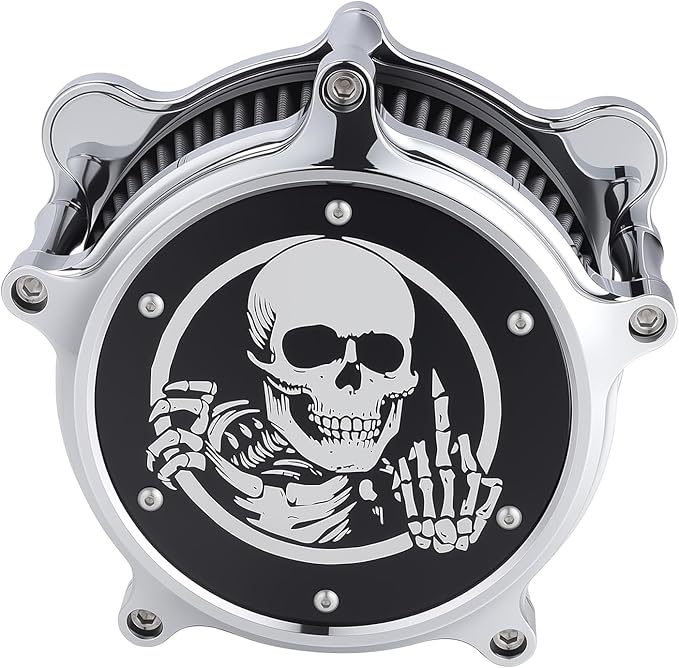 Motorcycle Air Filter Skull Style Air Cleaner with Filter Sock Dustproof Protective Cover Kit for Harley Touring 2000-07 Softail 2000-15 Dyna 2000-17, Excludes 2017 FXDLS (Chrome)