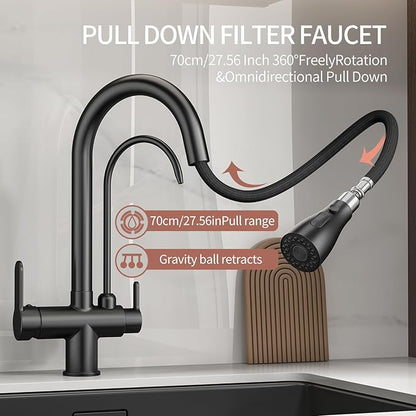Kitchen Sink Faucet with Pull - Down Sprayer, 2 - Handle 3 - in - 1 Kitchen Sink Filter Faucet, Cold and Hot Mixer Drinking Water Faucet (3-in-1 Filter Faucet, Black)