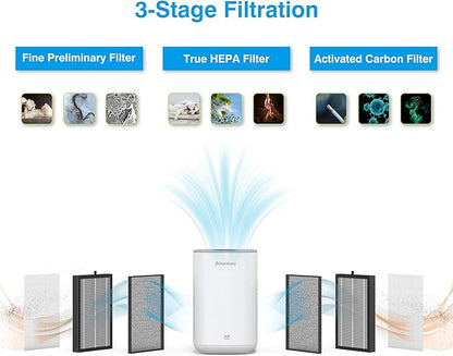 Air Purifier Replacement, C350-RF True HEPA High-Efficiency Activated Carbon Filter Fits for C350 (2 Pack)