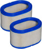 HIFROM Air Filter Cleaner Compatible with Cummins Onan 140 2879 140-2879 1402897 Replaces for Quiet Diesel QD HDKAJ HDKAK HDKAH HQD HQDPA HQDPC Generator Air Cleaner