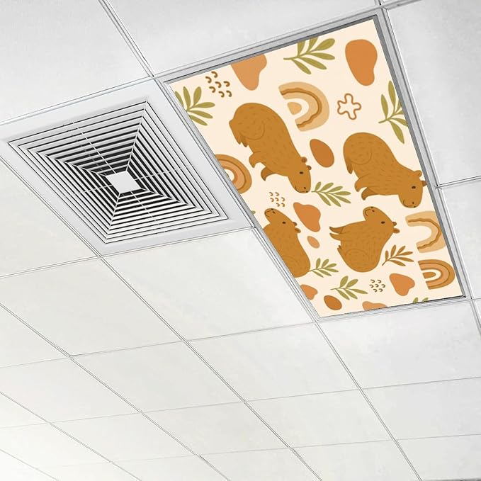 6 Pcs Fluorescent Light Covers for Ceiling Lights Cute Capybara Gifts Rainbows Leaves Abstract Shapes Earth Tones Decorative Magnets Light Filters for Office Home Classroom Must Haves 4’ x 2’